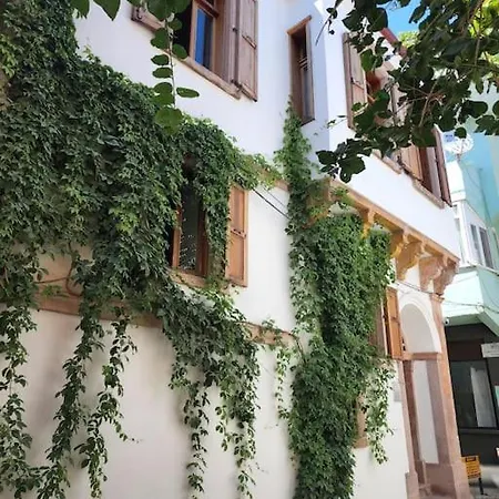 Sarmasik * Ayvalı
